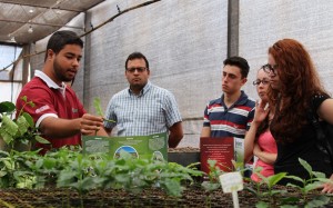 Núcleo de Estudos em Melhoramento e Clonagem apresenta ténica de clonagem por estaquia