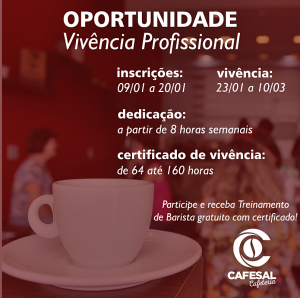 Vivência Profissional_atualizada