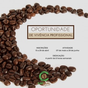 Arte vivência